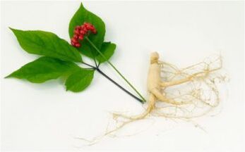 ginseng