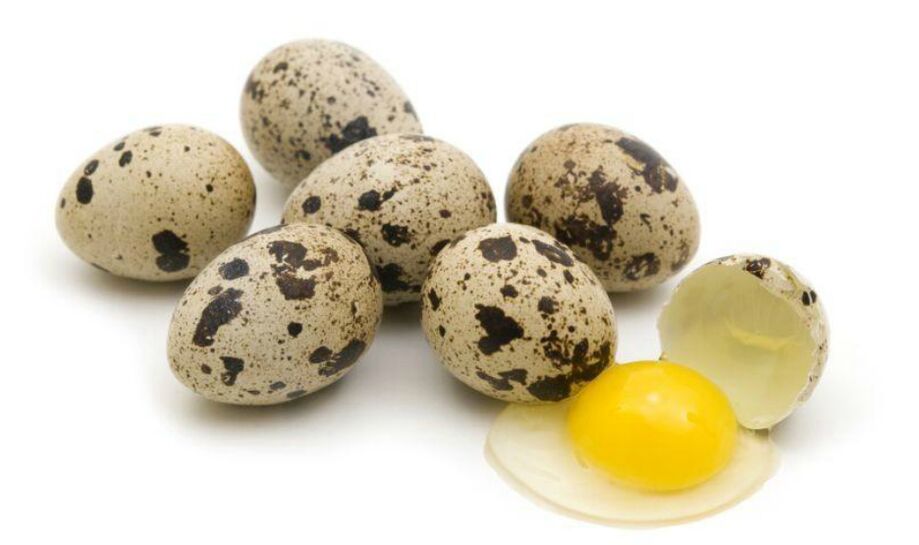 Telur puyuh untuk potensi