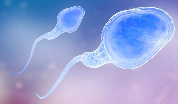 Spermatozoa mungkin terdapat dalam pra-ejakulasi lelaki