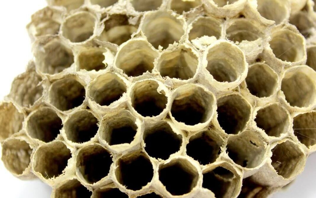 gam lebah untuk meningkatkan potensi